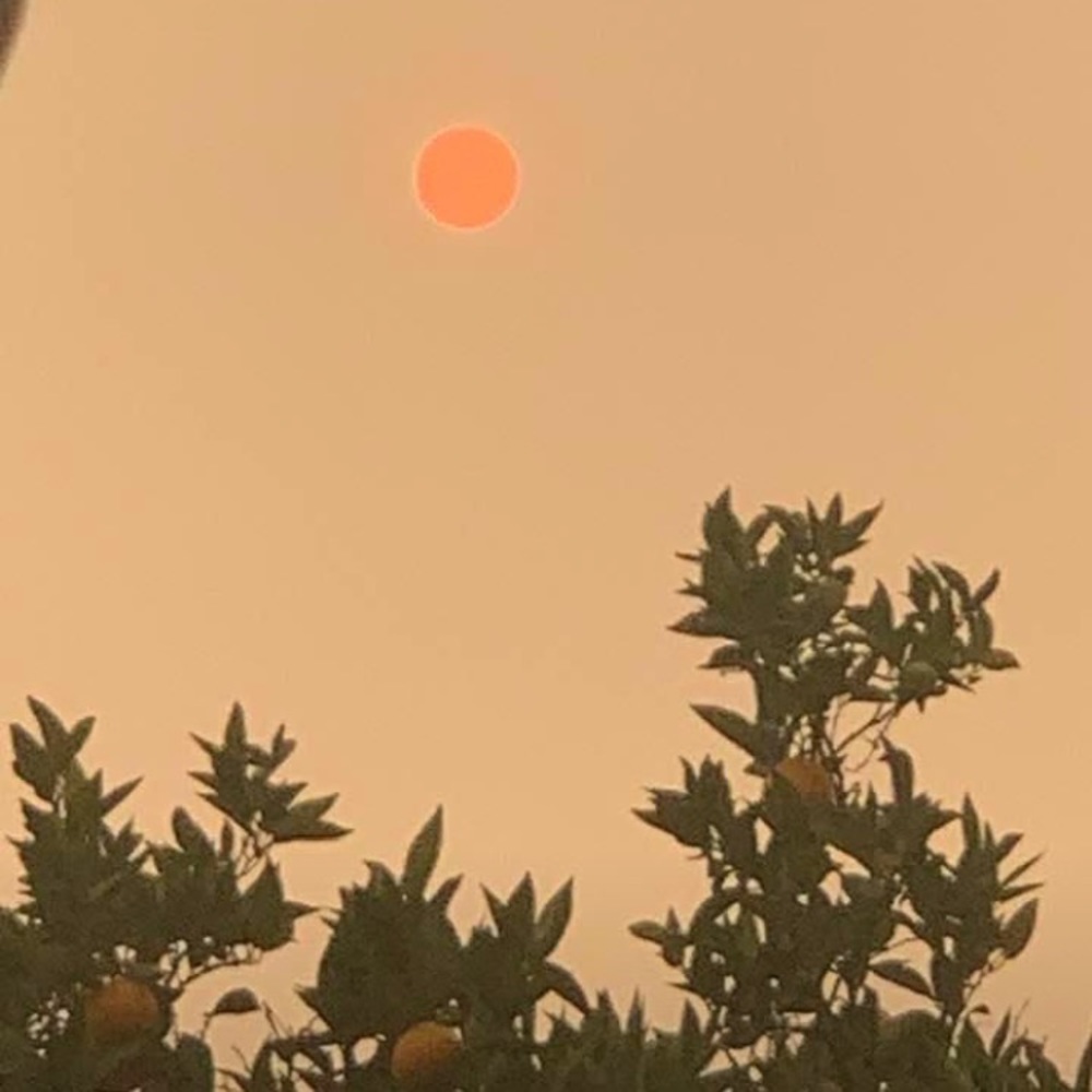 Unable to Ship Hiatus